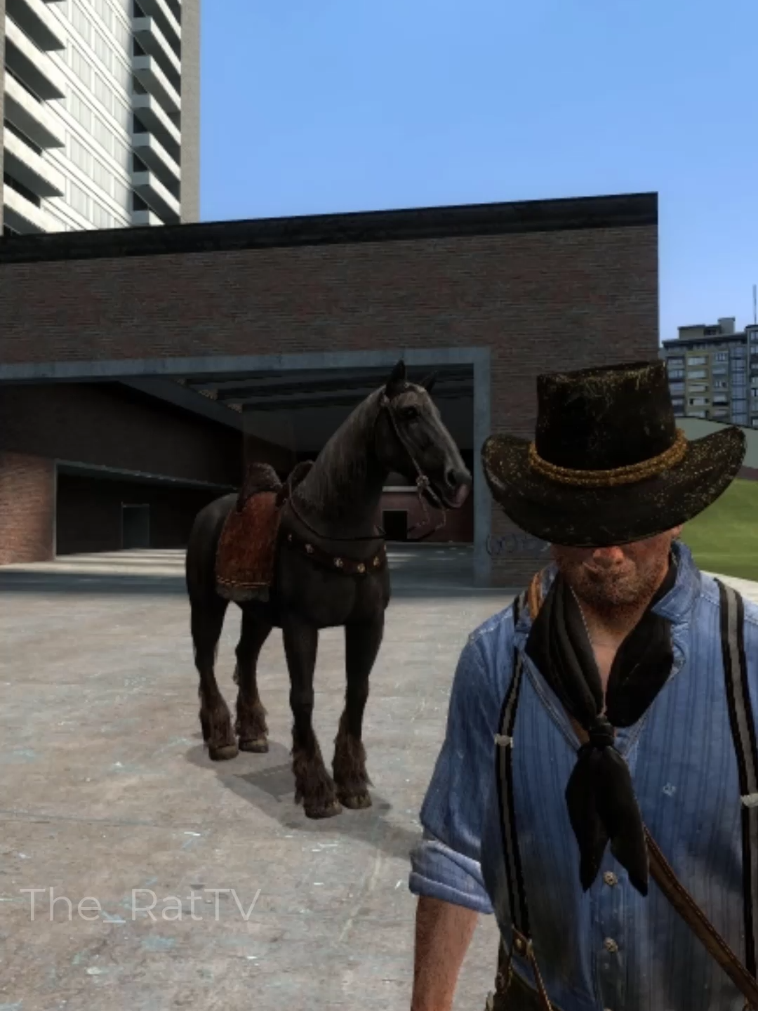 Apa paie și bătaie #fyp #romania #romania🇷🇴 #ro #pamflet #pentrutine #reddeadredemption2 #arthurmorgan #horse