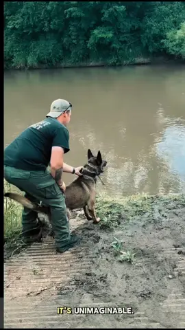 good #dog #dogsoftiktok #k9 #dogs #foryoupage #viral #foryou 