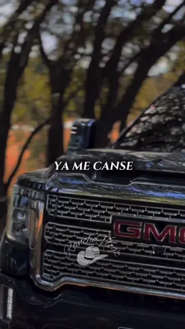 #corridos #norteñas #romanticas #rolitasparadedicar #fyp #videoviral #parati #remyvalenzuela #teolvidare 