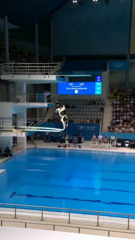 what the best animal? #olimpiadas #horse #ai #cow #olympic 
