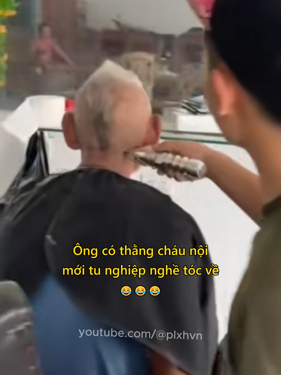 Ông có thằng cháu nội mới tu nghiệp nghề tóc về😂 #giadinh #hanhphuc #cattoc #haihuoc #vuive #giaitri #plxhvn #phapluatxahoi