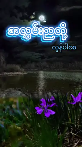 #အလွှမ်းညတို့လွန်ပါစေ #ရဲသီဟ #သီချင်းကောင်းလေးများနာဆင်မယ်🎧 