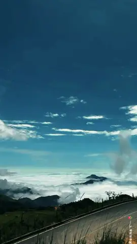 🎶 