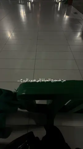 المدينة المنورة.. ما هي بس مكان هي شعور ريحة طمأنينة ونبض سلام كل زاوية فيها تحكي قصة نور🥹✨#المدينة_المنوره #الحرم_النبوي #fyp #راحه_نفسيه #الهدوء #تأمل 