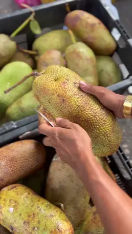 Emang kamu syantikkk 😍 #kechikbuah99 #videoviral #fypシ゚viral #foryoupage #fyp 