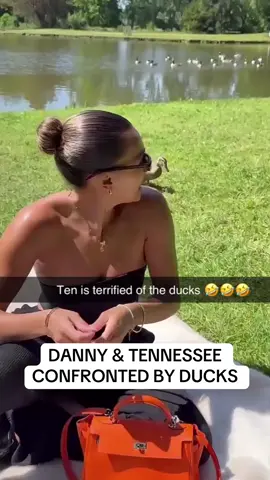 #tennesseethresh #tennessee #dannyaarons #danny #punchinpodcast #podcasts #fyp #couples #tiktok #thresher #rtg #youngparents #newparents #newborn #baby #aarons #mod #birth  #weddingplans #wedding #daughter #husbandtobe #wifetobe #fiance #ksi #guest #host #pod #jj #arrest #funny #youtuber #stresmers #streamer #ex #keepordelete #memories #vlogs #minivlogs #shopping #matcha #matchatea #couple #private #privacy #family #daughter #kidsnames #babynames #babyname #dressup #cosplay #xmas #christmas #holidays #mrsclaus #Vlog #minivlogs #minivlog #ducks #picnic 