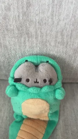 Just your run of the mill pusheen collection 