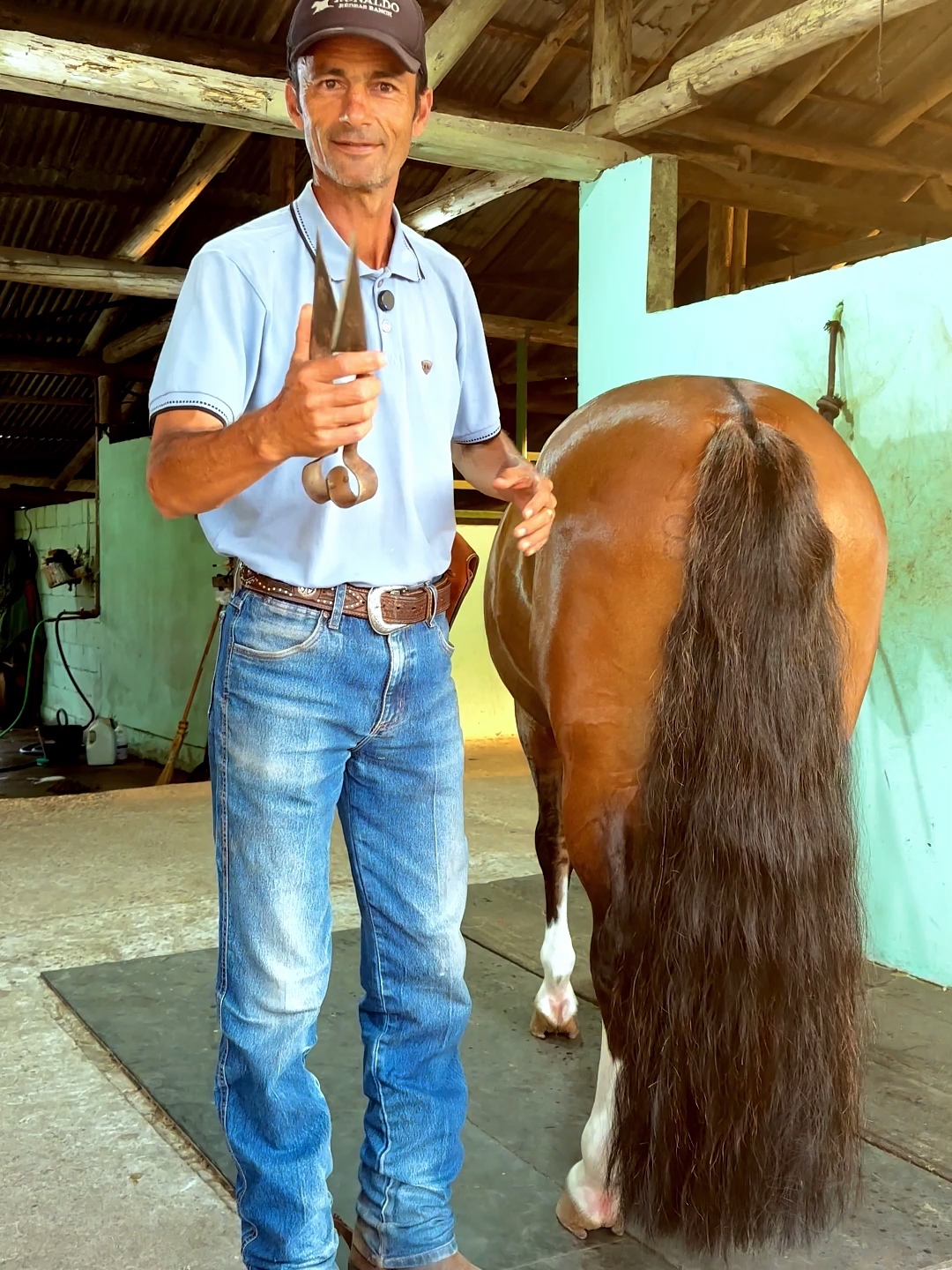 #farrier #farrieroftiktok #horseshoe #animalwelfare #satisfying