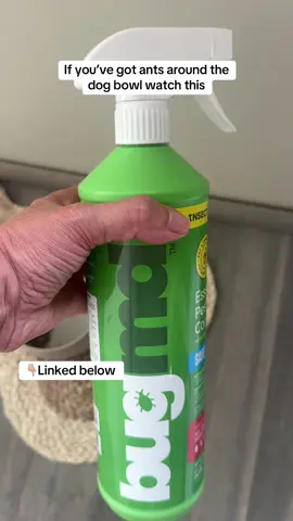 Ants kept showing up around my dog’s food bowl… sprayed this once and they were gone. No harsh chemicals, and safe to use around pets. #bugmd #nochemicals #bugspray #cleaningtiktok #cleaningredients 