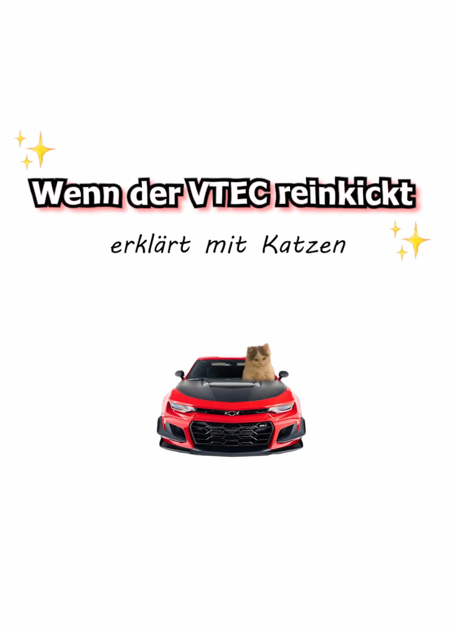 VTEC Motor, erklärt mit Katzen #VTEC #VTECmotor #auto 