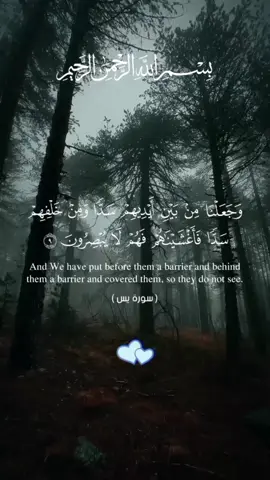 وجعلنا من بين ايديهم سدا ومن خلفهم سدا #قران #quran #foryou #قران_كريم #ترتيل_القرآن #quran_alkarim #راحة_نفسية #islamic_video #فارس_عباد #tiktokarab #يارب #fyp #vt_quran_vt1 #وجعلنا_من_بين_ايديهم_سدا_ومن_خلفهم_سدا 
