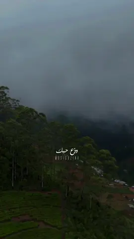 ودَع حبك ما عدنا نرجع سوا#يا_خسارة#musicazina @Sarah Farah 