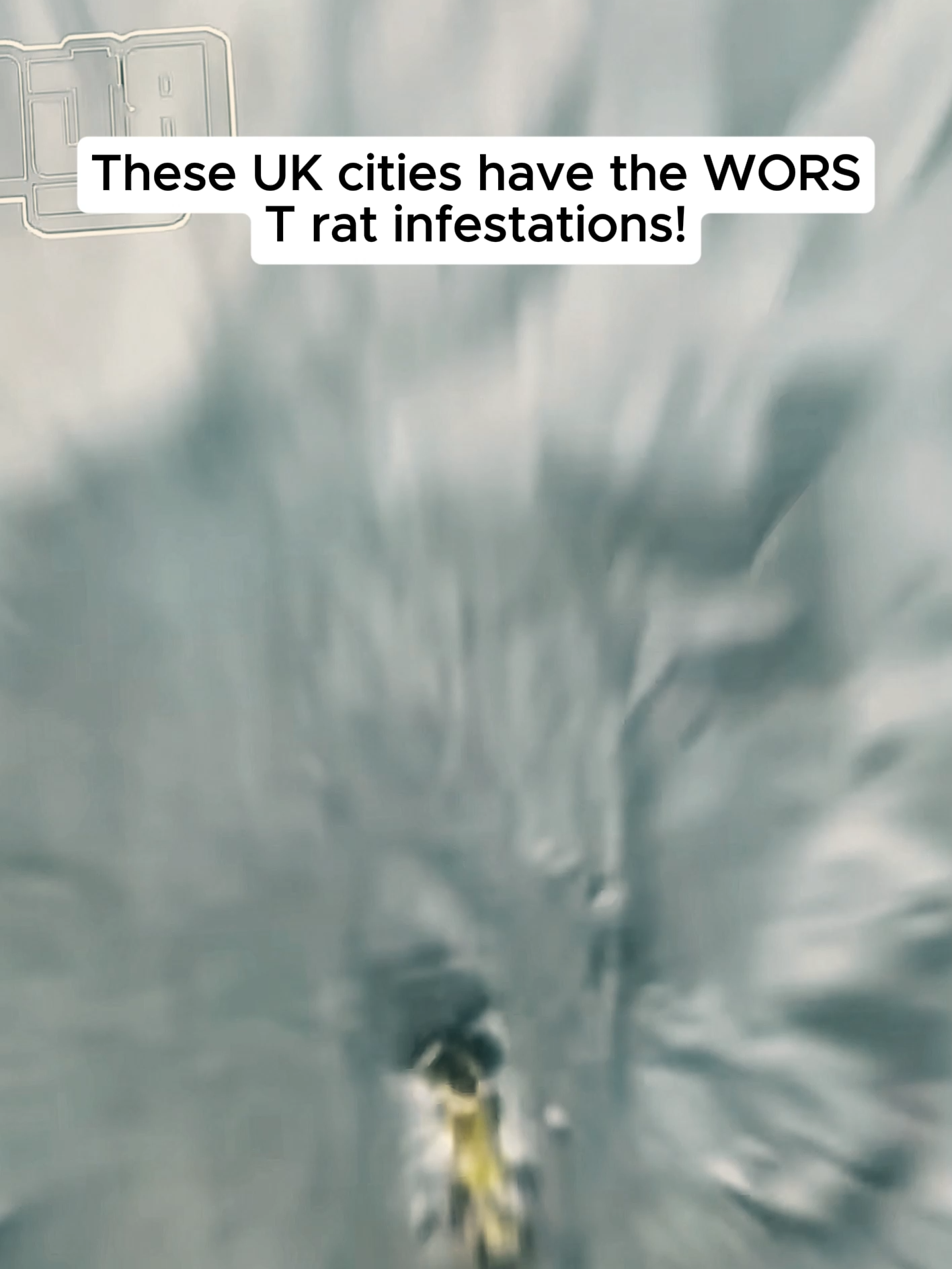 These UK cities have the WORST rat infestations!#audit #audituk #cops