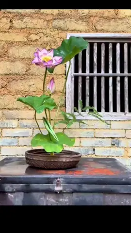 #flowers #flowerart #fyp #usatiktok 