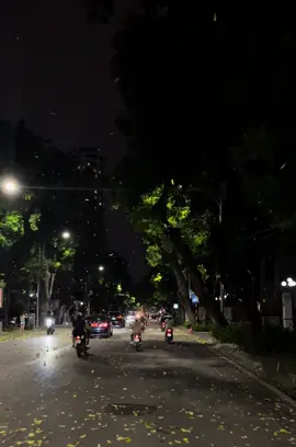 Hanoi đẹp hơn khi có anh 🍃#xuhuong #fpy #hanoi #thuhanoi 