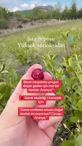 Bu mor mucize sadece bir meyve değil, 💜 Kansızlığa destek 💜 Göz sağlığına katkı 💜 Cildine parlaklık 💜 Bağışıklığa kalkan! 📌 Her kaşığıyla hücrelerini yeniler 📣 Demir eksikliğiyle savaşanlara, ekran yorgunlarına, halsiz kalanlara! 👇 Deneyenler yoruma 🍇 bıraksın! •	Aronya özü 	•	Antioksidan 	•	Demir emilimi 	•	Kansızlık desteği 	•	Doğal süper gıda 	•	Mor meyve 	•	Göz sağlığı 	•	Bağışıklık güçlendirici 	•	Polifenol deposu 	•	Süper meyve #aronya   #aronyaözü   #süpermeyve   #demiremilimi   #antioksidanbombası   #bağışıklık   #kansızlık   #doğaltetavi   #dogalyasam   #bitkiseltakviye   #annelertavsiyesi  