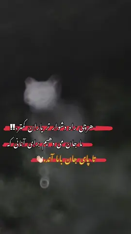 #viral_videos #videoviral #🐺  #تاجیک_هزاره_ازبک_پشتون_ترکمن🇦🇫 