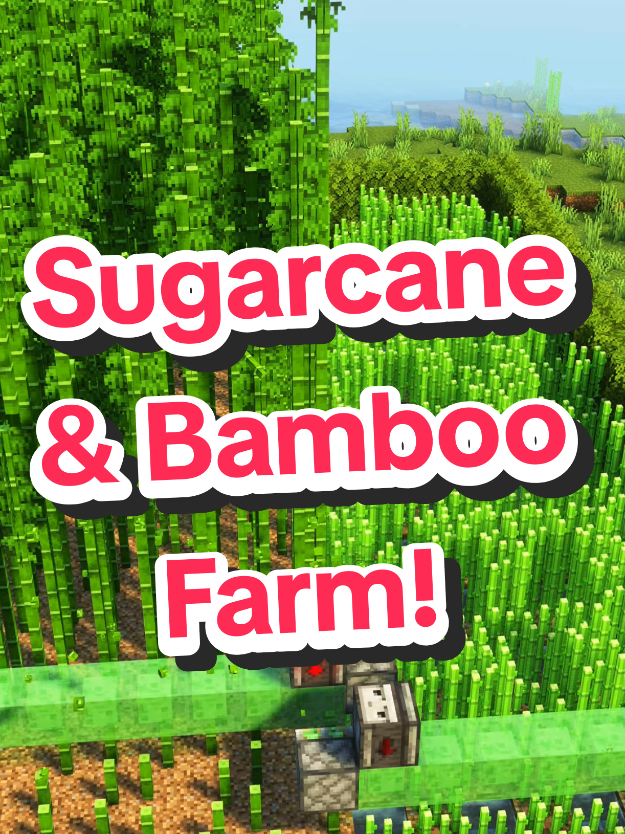 Sugarcane & Bamboo Farm in Minecraft! #minecraftusa #Minecraft #minecrafttutorial #minecraftbuilding #minecraftfarm #minecraftuk build credit: @Eligos 🌍 