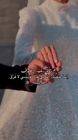 لم تأتي بِك الصُدف إنما خصّك اللّٰه لي فَيا مُؤنِسي لا فَرَّقَ اللّهُ بَينَنا  #fentysuperbrandday #foryoupage #horseriding #couplemuslim #jannat_srfz #halallove🤲🏻💍 #halallove #217i_j  #VNVideoEditor 