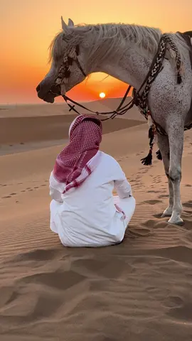 مين يحب الغروب❤️#العطوي #الزميلي #اكسبلووور #أكسبلور_تيك_توك🌹🌹nora_norica #خيل_وخياله🐎 #خيل #أكسبلو #تبوك_الان #أكسبلوررررررررررر @يوسف البلوي 