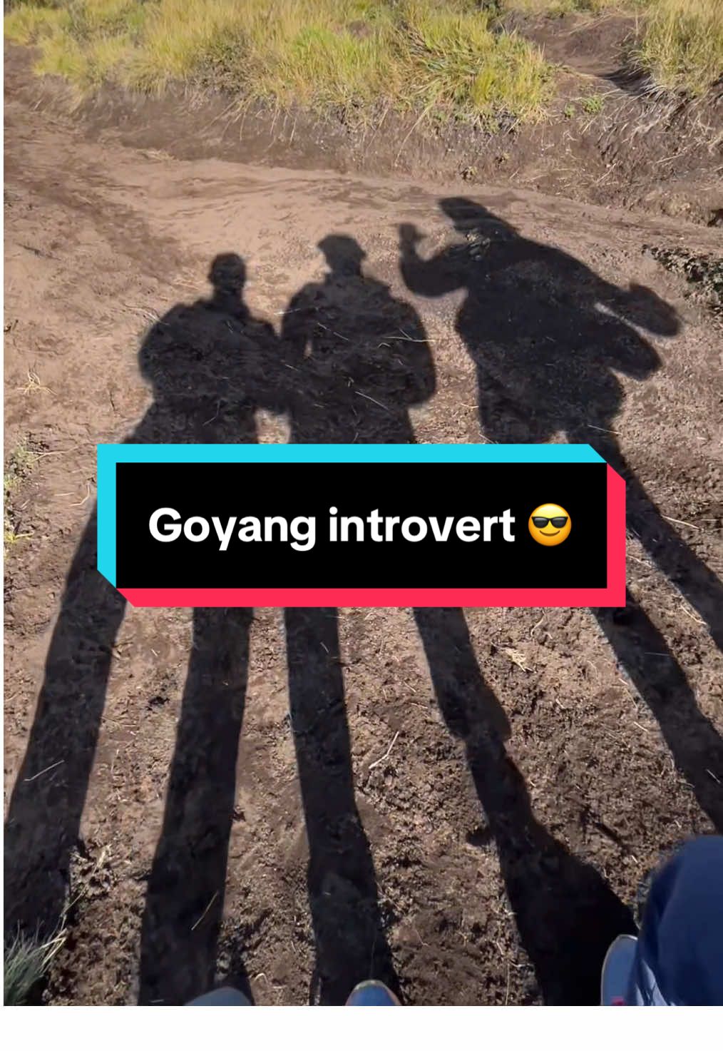 Yg introvert boleh gabung 😇 #gunungmerbabu #merbabumountain #merbabuviasuwanting 