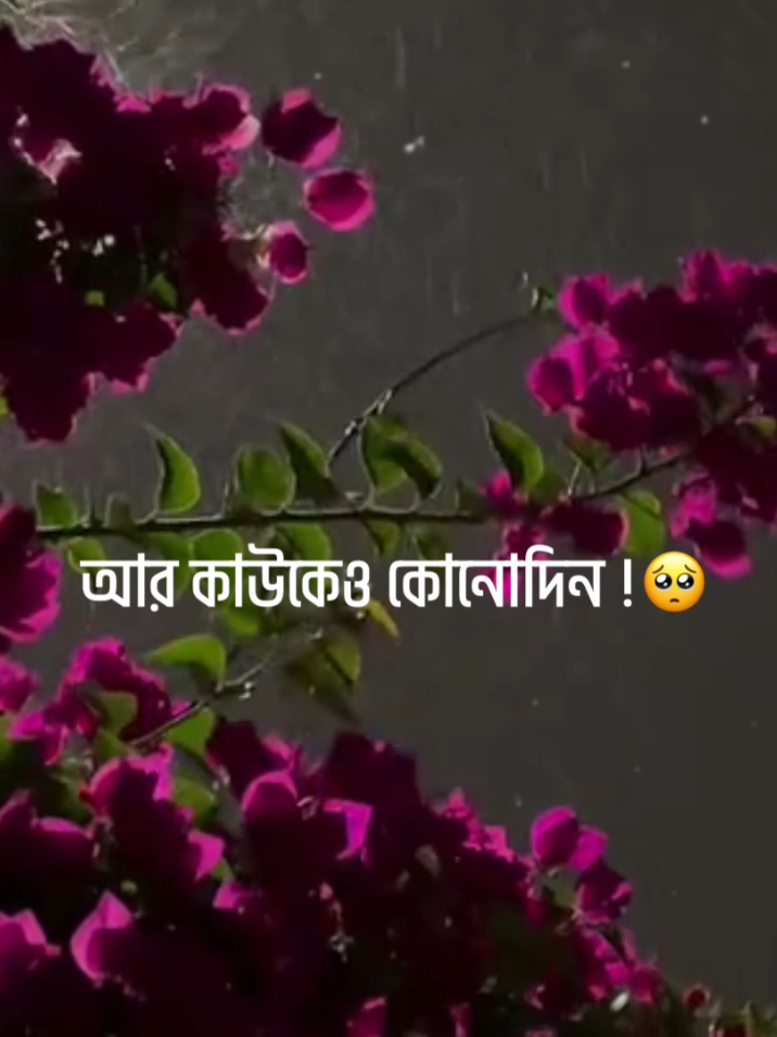- কেনো হয় এমন মনে নেই তো মন হাওয়া বড়ই বে রঙিন 