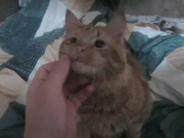 it's youuuu