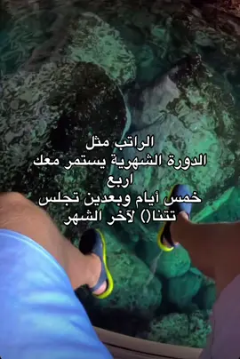 #foryou #fyp #viralvideo #mentionyourlove❤️💍 #explore #fypシ゚ #مالي_خلق_احط_هاشتاقات 