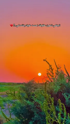 مو شغلة عتب بس إيست منك حيل💔 #تصويري #تفاعلكم_حتى_أستمر #تصويري_احترافي_الاجواء👌🏻🕊😴 #ستوريات #اعادة_النشر🔃 #صعدوو_ءڪڪسبلور_للايڪ_متابعه #جروح #تصويري📸 #اكسبلورexplore 