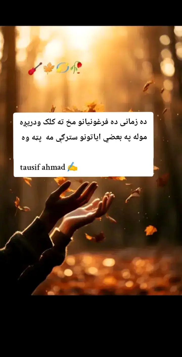 #foryoupage #poshtopoetry #virlmyvideopleasetiktokteam 