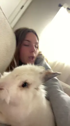 Do me and my bunny look alike