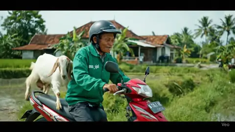 #hiburantiktok #veo3 #videoai 