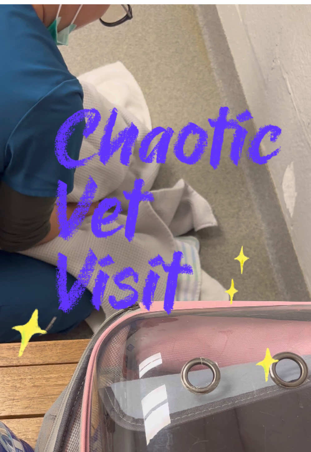 Annual chaotic vet visit with Fina #petvlog #catsoftiktok #vita #catcarrierbackpack 