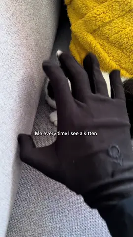 You just can’t resist 😫#kitten#muslimtiktok#hijab #fyp#viralvideos#videoviral#tiktokstrategy 