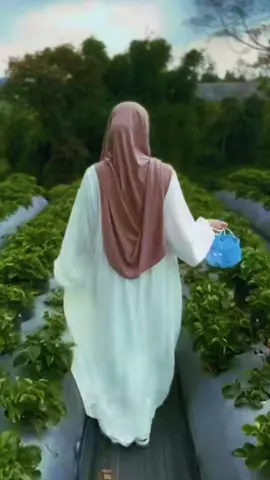 ሸር በደንብ ኮፒ ሊክ 🤌🧕🍫🦋