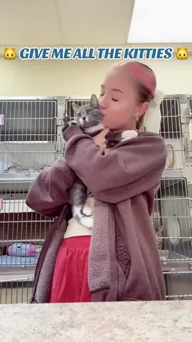 “And for the lady… perhaps a salad?” Me: “No thanks, I’ll take ALL the cats.” 🐱🐱🐱🐱🐱 #animalshelter #cleartheshelters #kitten #kittens #kittensoftiktok #PetsOfTikTok #cats #catsoftiktok #fyp #pennsylvania #york  #community