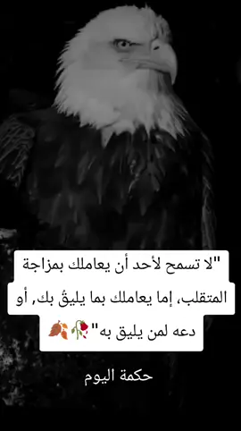 #حكمة 