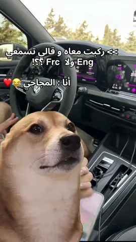 #Meme #MemeCut  Mkach ki lmjaji 😂❤️‍🔥  @Cheb Ali Mdjadji oficiel #abonne #explore #شعب_الصيني_ماله_حل😂😂😂 #algerie🇩🇿 #mentionyourlove❤️💍 #المجاجي_و_الحكومة_العاقلة🍾🥂 