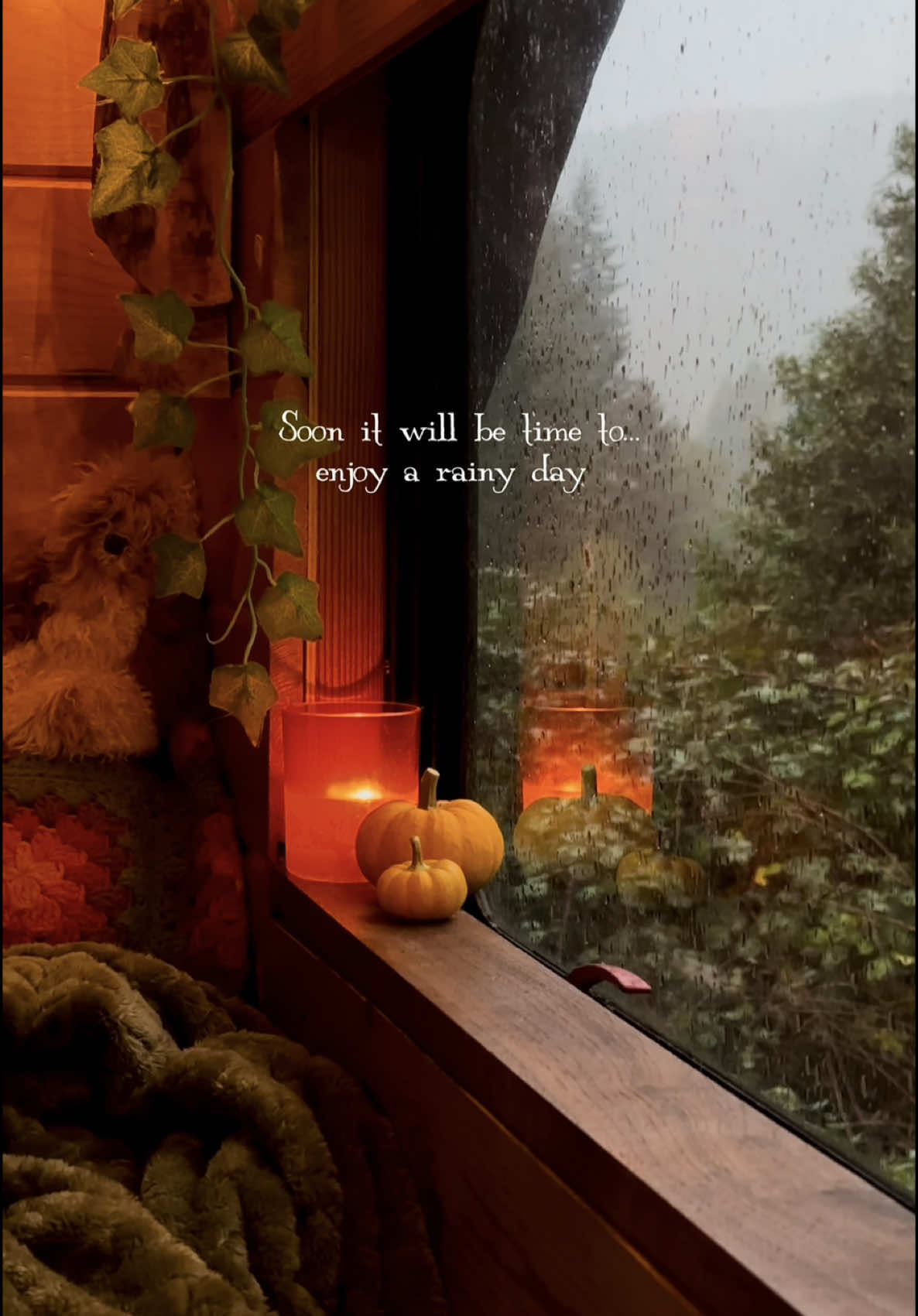 soon it will be… autumn 🍂🖤 Crisp mornings, magical drives down long winding roads, a basket full of foraged mushrooms, golden leaves underfoot, pumpkin everything in the oven, and cozy rainy days at home 🌧️🍂 Just a few more weeks until the best season begins 🥹 What are you looking forward to most this fall? 🍁🖤 #vanlife #slowliving #simplelife #cozyvibes #darkaesthetic #forestcore #fallvibes #spookyseason #autumn 