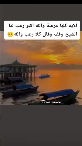 رعب والله فعلاا 🥺#الشيخ_محمد_صديق_المنشاوى #راحه_نفسيه #تلاوة_خاشعة #quran #اذاعه_القرآن_الكريم #الازاعه_المصريه #قران 