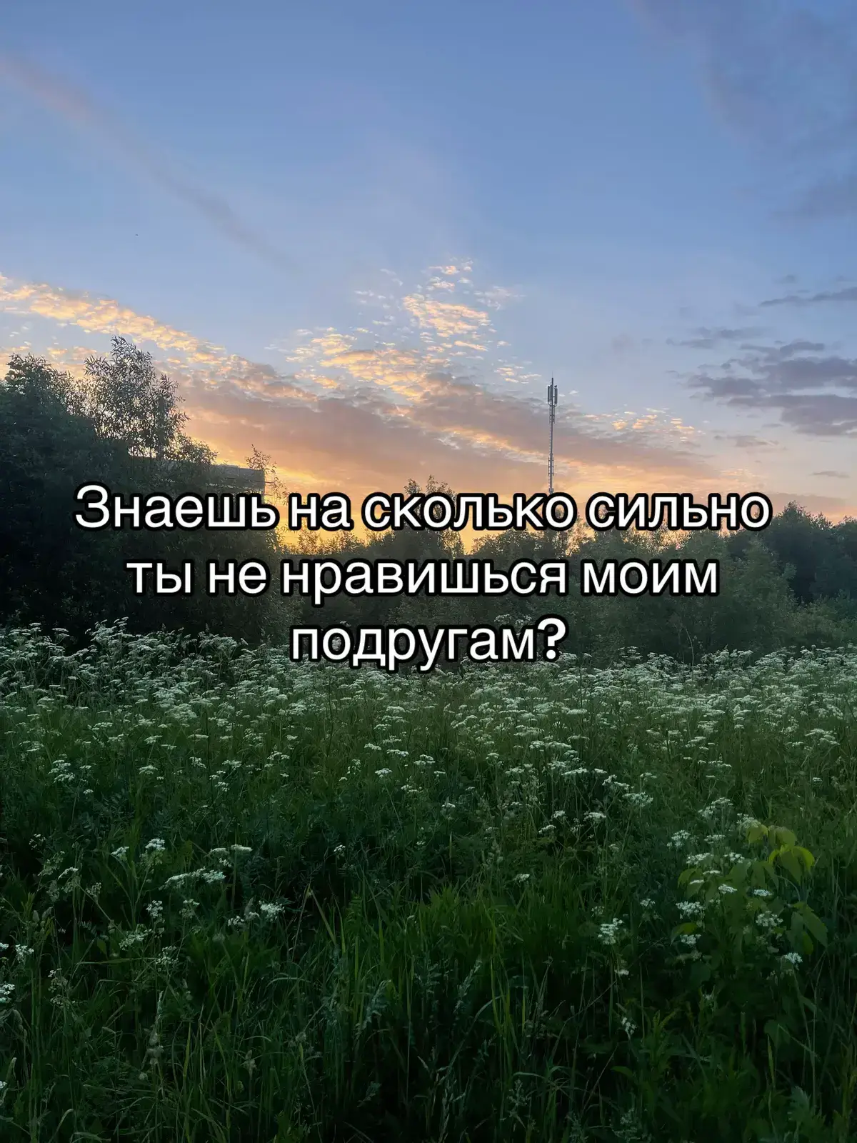 #лд #мем #лп #рекомендации #рек #подруга 