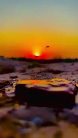مو شيله خشم#تصويري 