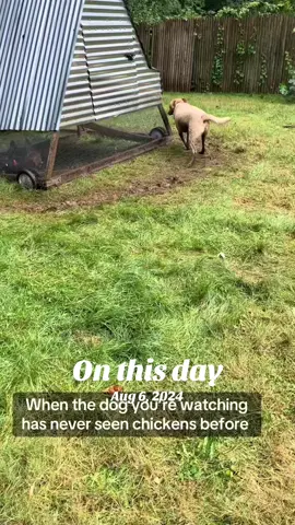 #onthisday 