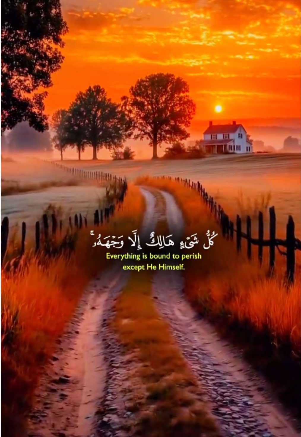 كل شئ هالك إلا وجهه❤️ #قوالب_قران_كريم #ياسر_الدوسري_إماما_للحرم #سورة_القصص #ياسرالدوسري #كل_شئ_هالك_إلا_وجهه 