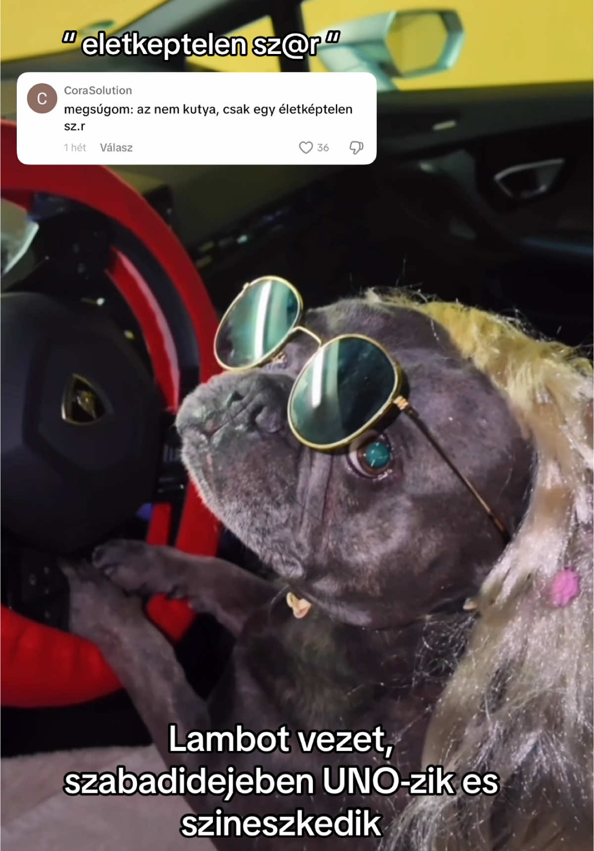Nem mellesleg jobb elete van mint nehanyatoknak @DRX Sport Élményvezetés  #fyp #foryou #nekedbelegyen #neked #frenchbulldog #puppiesoftiktok #frenchiesoftiktok #frenchie 