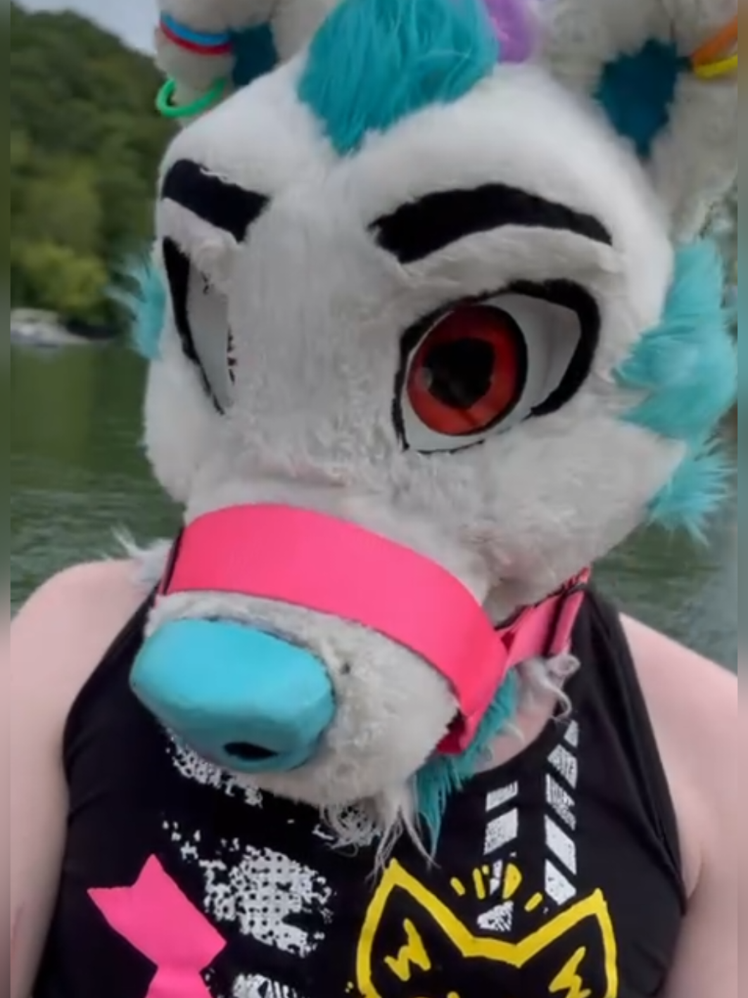 videos from vibin on the lake - - - - #lakeadventures #lgbtq #tolfzilla #furry #adhd #battercake #furrytiktok 