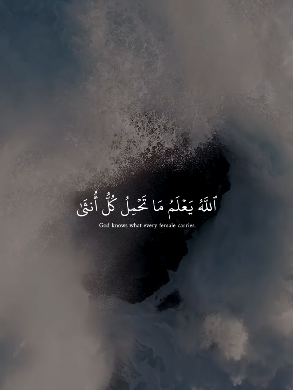 ٱللَّهُ يَعۡلَمُ مَا تَحۡمِلُ كُلُّ أُنثَىٰ #عبدالرحمن_مسعد #الرعد  #راحة_نفسية🖤🎧 #عبدالرحمن_مسعد #راحة_نفسية🖤🎧 #راحة_نفسية🖤🎧 #عبدالرحمن_مسعد #عبدالرحمن_مسعد 