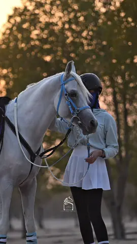 عادك أغلا من عشقت وعادك الحب المبدى 🤍📸🐎 .. #خيل_وخياله🐎 #مالي_خلق_احط_هاشتاقات #الشعب_الصيني_ماله_حل #اكسبلوررررر #بندر_بن_عوير 
