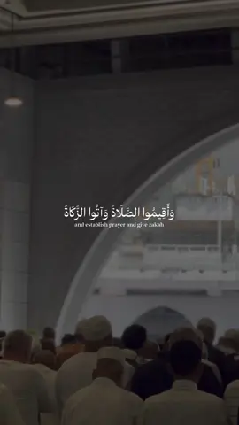 ارح سمعك - عبد الرحمن مسعد - صلوا على النبي محمد صلى الله عليه وسلم - #صلوا_على_رسول_الله #عبدالرحمن_مسعد #عبدالرحمن_مسعد #fyp 