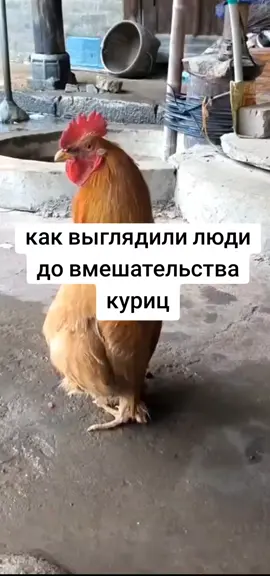 #CapCut монго💀